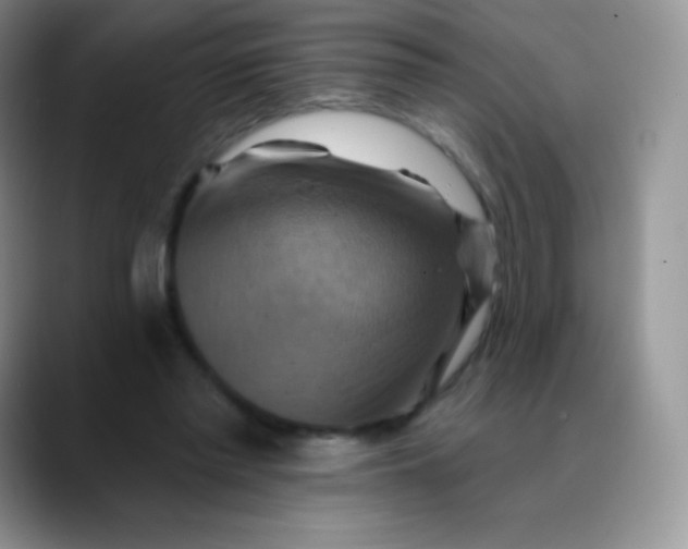 X0000088200397200705292037