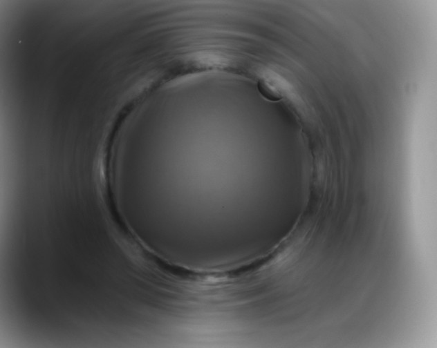 X0000088200398200705292037