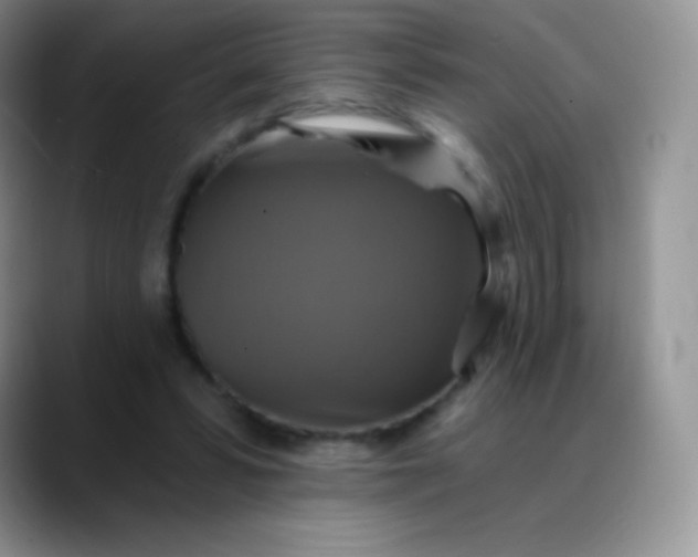 X0000088200399200705292037