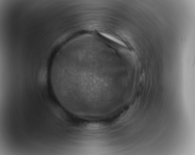 X0000088200400200705292037