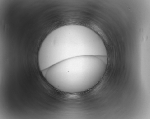 X0000088200401200705292036