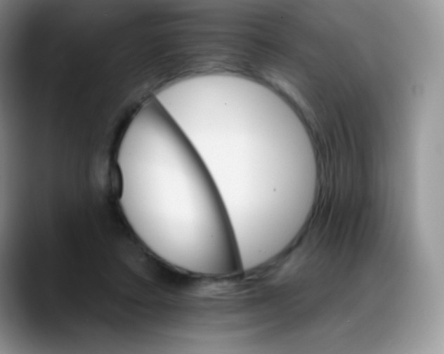 X0000088200403200705292036