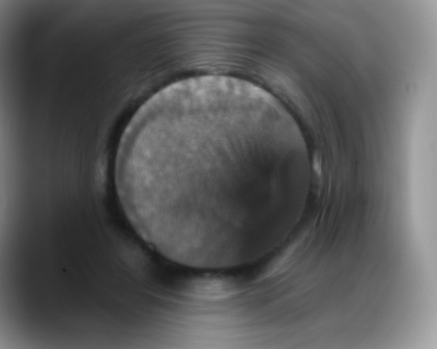 X0000088200404200705292036