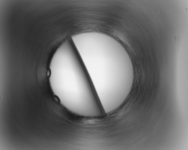 X0000088200407200705292036