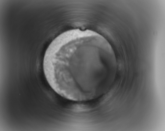 X0000088200408200705292036