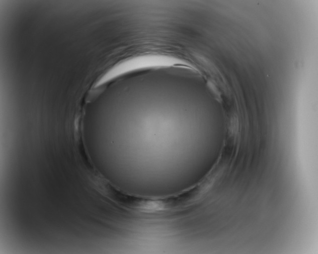 X0000088200409200705292036