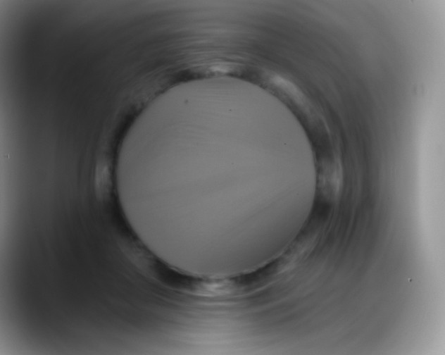 X0000088200410200705292036