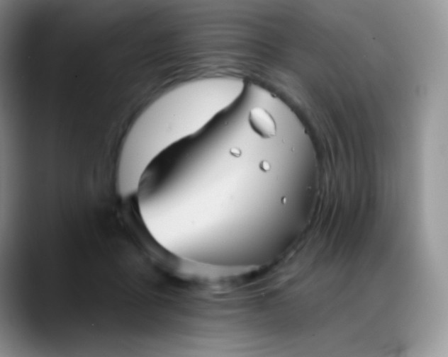 X0000088200411200705292036