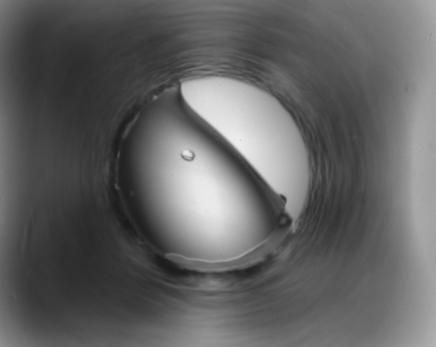 X0000088200412200705292036