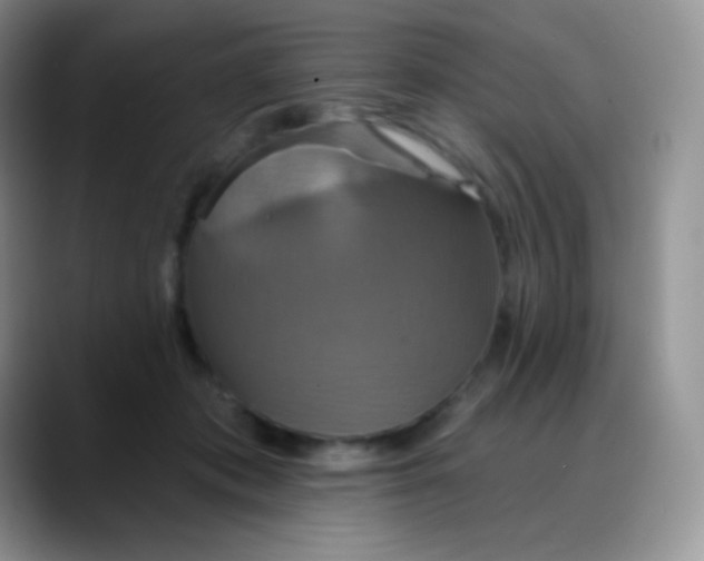 X0000088200413200705292036