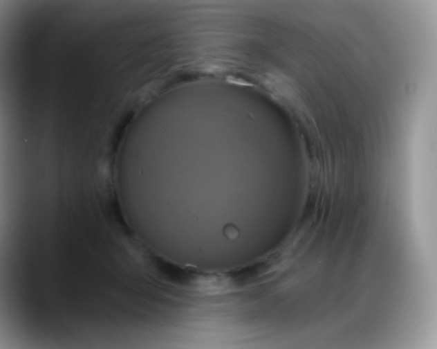 X0000088200415200705292036