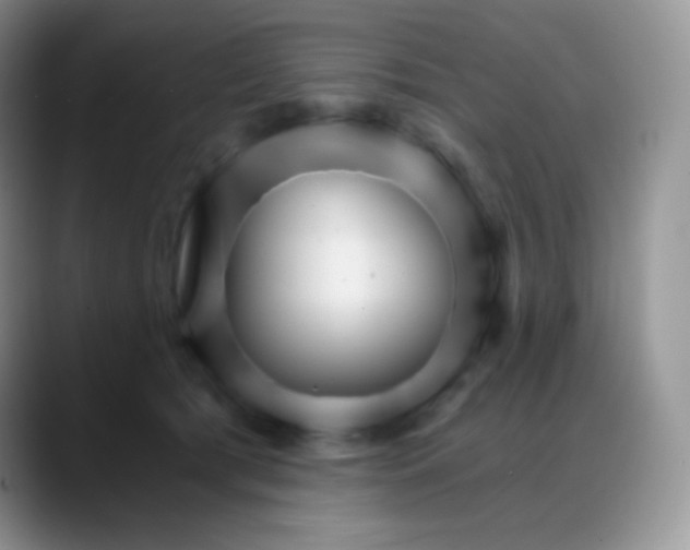 X0000088200417200705292036