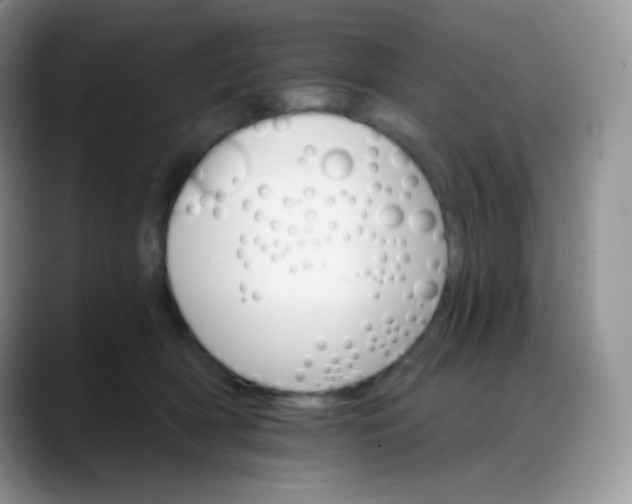 X0000088200418200705292036