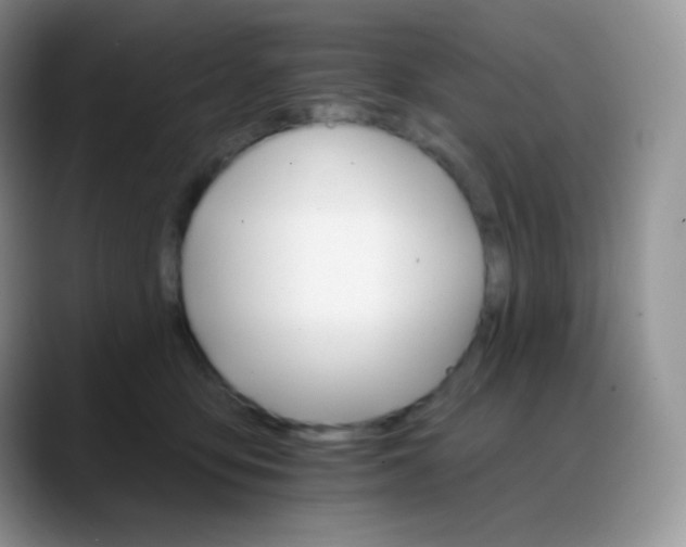 X0000088200419200705292036