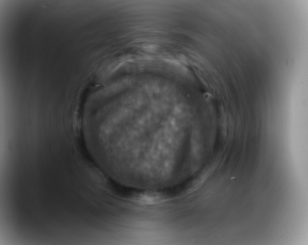 X0000088200420200705292036