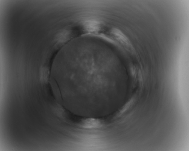 X0000088200421200705292036