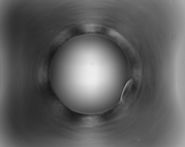 X0000088200422200705292036