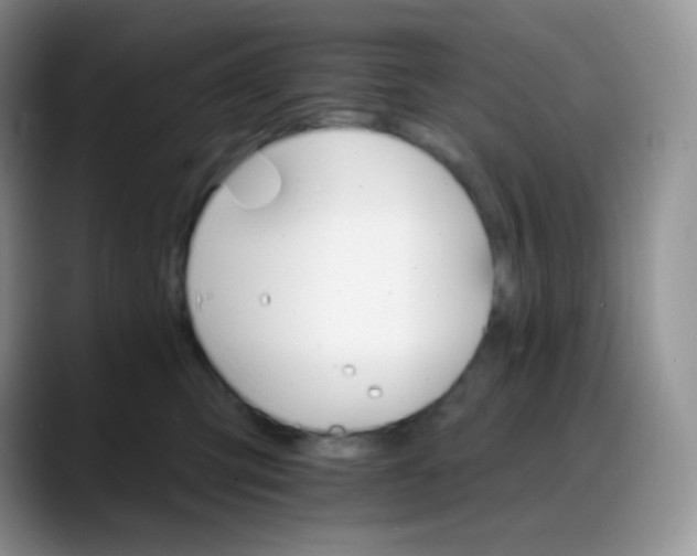 X0000088200423200705292036