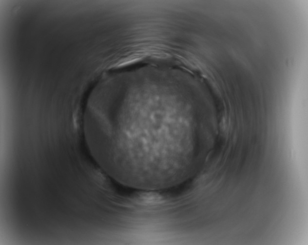 X0000088200424200705292036