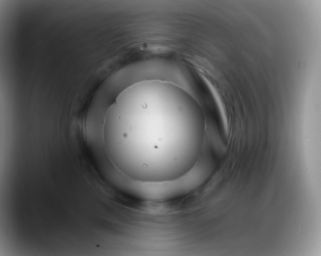 X0000088200425200705292036