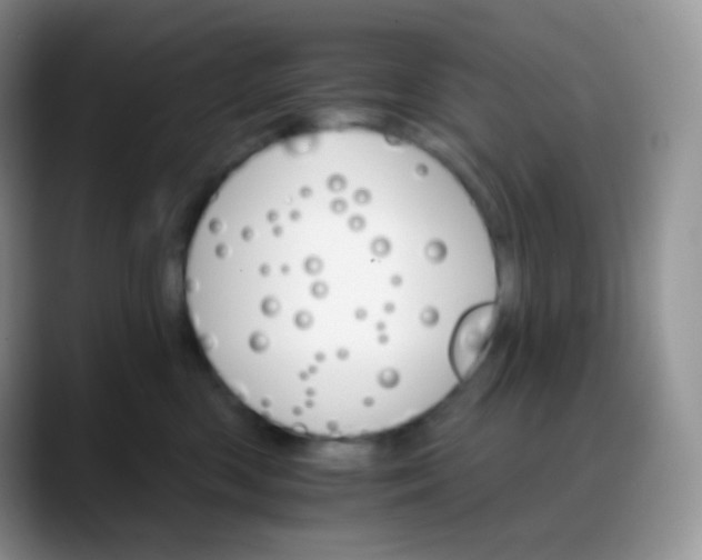 X0000088200426200705292036