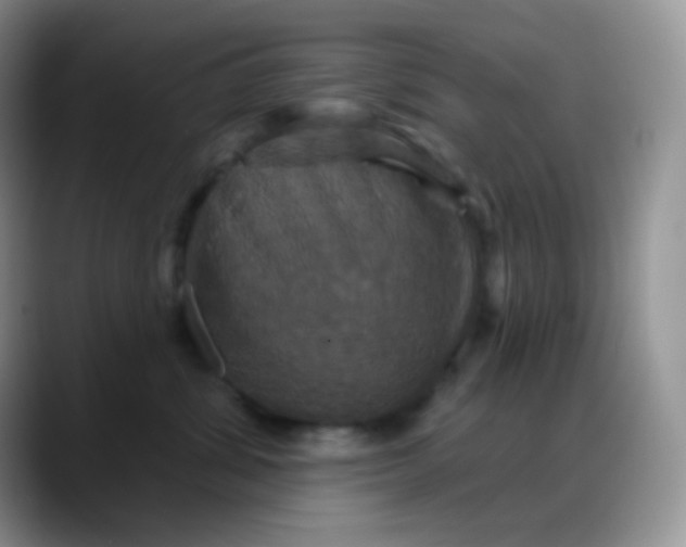 X0000088200428200705292036