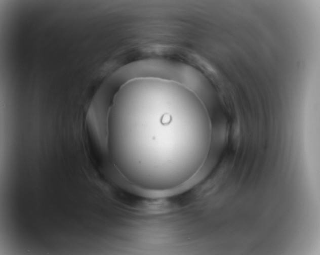 X0000088200429200705292036