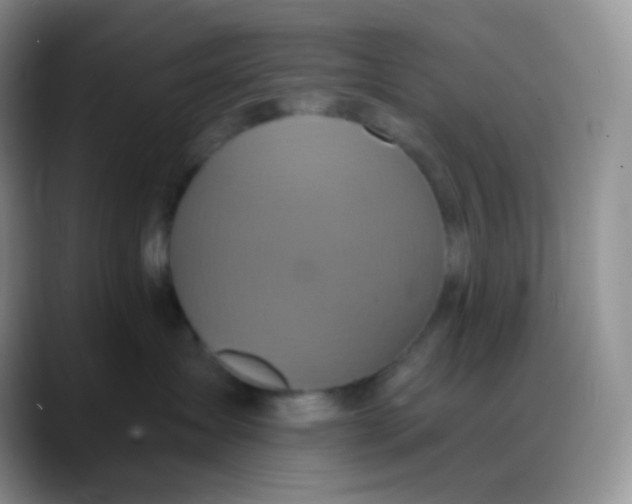 X0000088200431200705292036