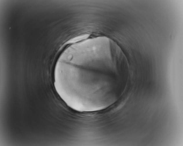 X0000088200432200705292036