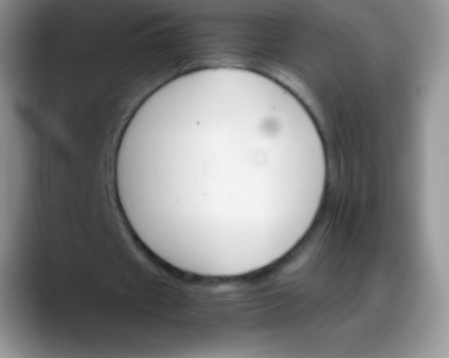 X0000088200433200705292035