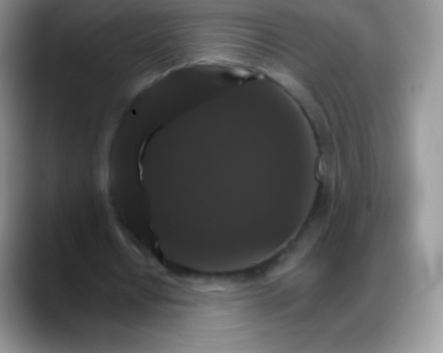 X0000088200434200705292035