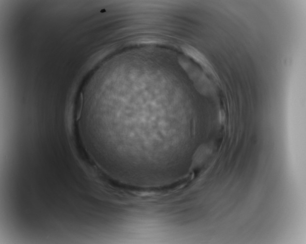 X0000088200436200705292036