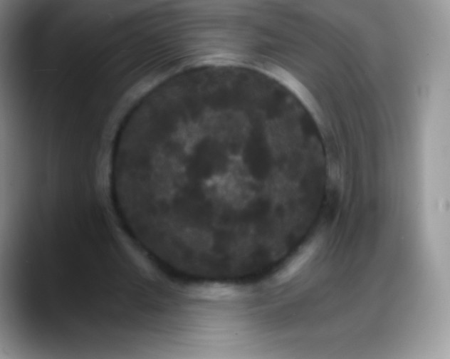 X0000088200437200705292036