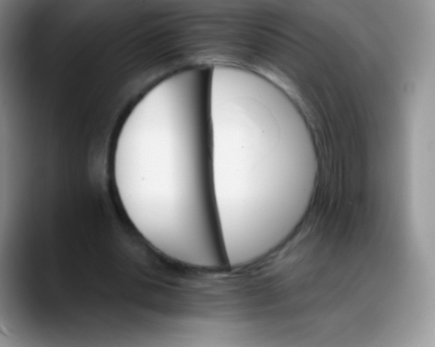 X0000088200438200705292036