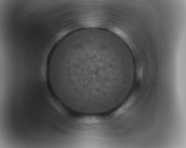 X0000088200439200705292036