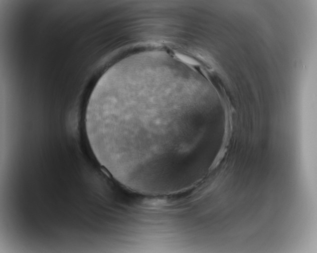 X0000088200440200705292036