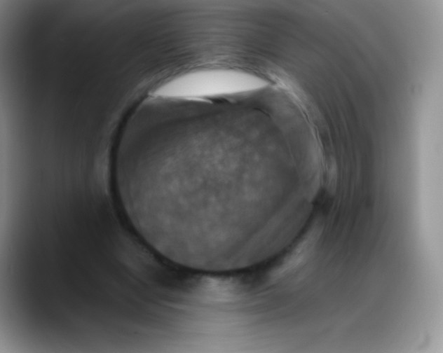 X0000088200442200705292036