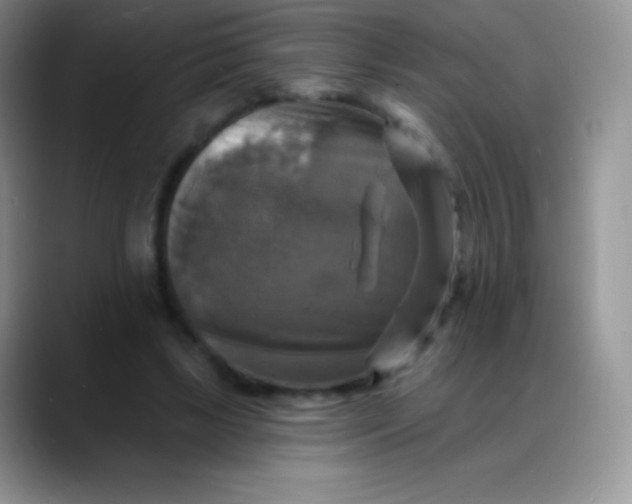 X0000088200443200705292036