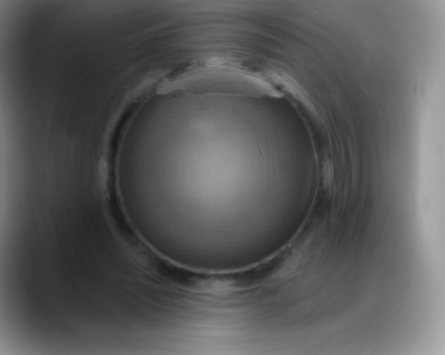 X0000088200444200705292036