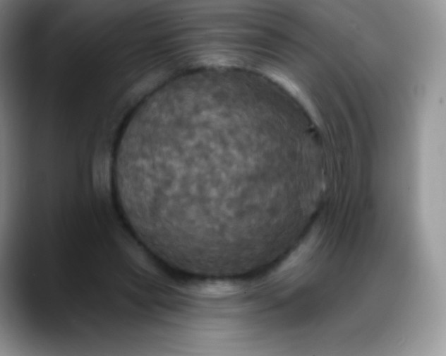 X0000088200445200705292036