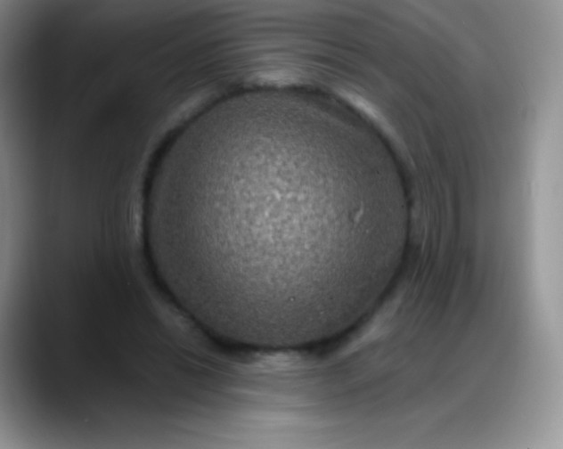 X0000088200446200705292036