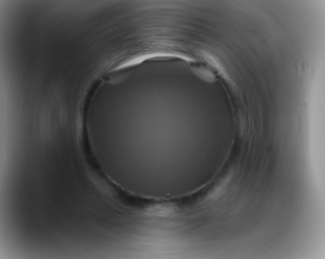 X0000088200447200705292036