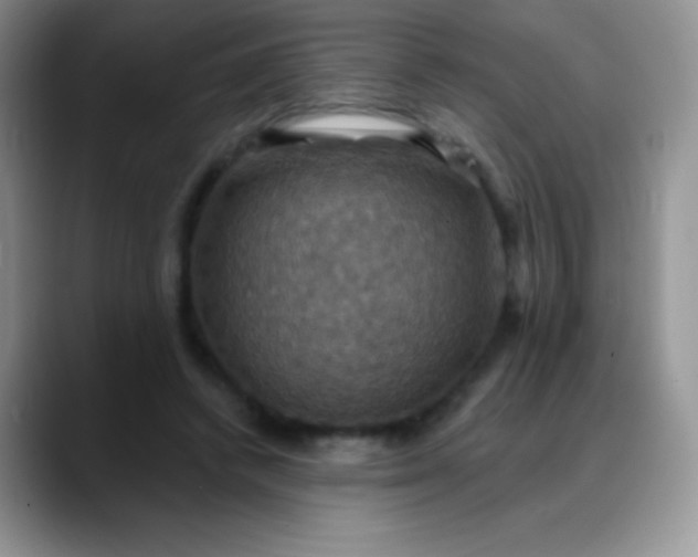 X0000088200448200705292036