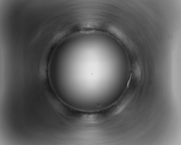 X0000088200450200705292036