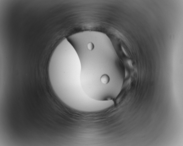 X0000088200452200705292036