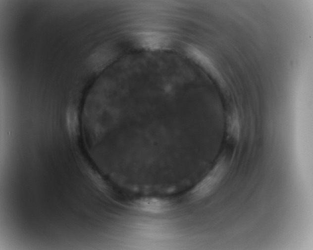 X0000088200453200705292036