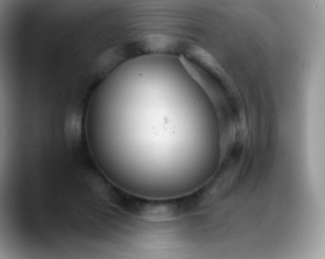 X0000088200454200705292036