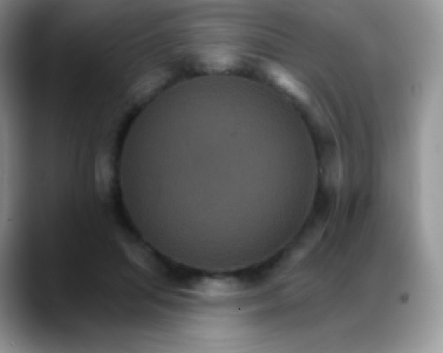 X0000088200455200705292036