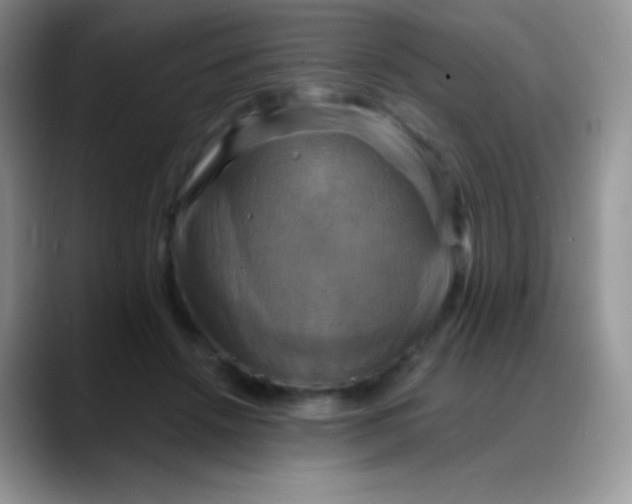 X0000088200456200705292036