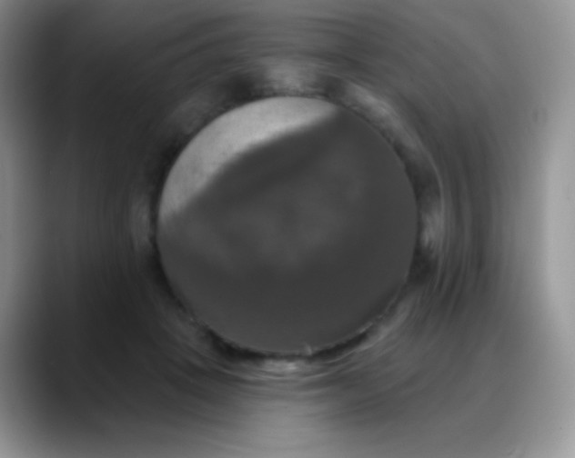 X0000088200457200705292036